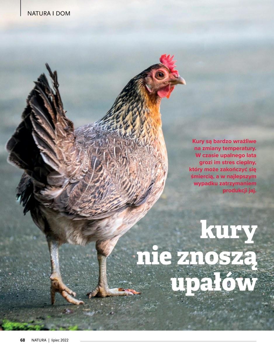 Gazetka promocyjna Drogerie Natura str. 68
